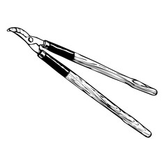 An illustrative vector of loppers, a garden tool used for pruning and cutting branches, on a white background