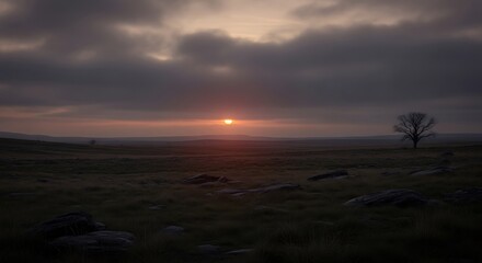 Fototapeta premium A solitary tree stands silhouetted against a dramatic sunset over a vast and open landscape view