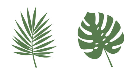 Green tropical leaves on white background for design and decoration