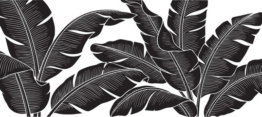 Stylized black and white illustration of lush banana leaves with a textured pattern isolated on transparent background © SaHeD