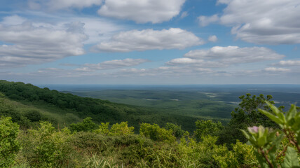 Obraz premium Breathtaking vista of rolling hills and lush green forest under a vast sky with fluffy clouds, showcasing nature's beauty and inspiring exploration and adventure