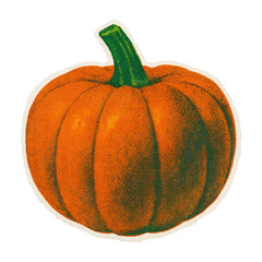 Obraz na płótnie Canvas PNG Vintage pumpkin illustration art