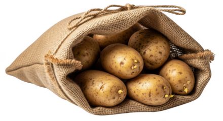 Burlap sack full of fresh farm potatoes ready for cooking and recipes