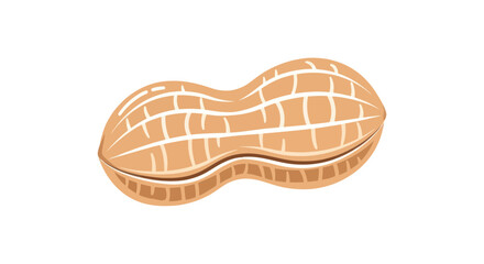 Single peanut in shell isolated on white background.