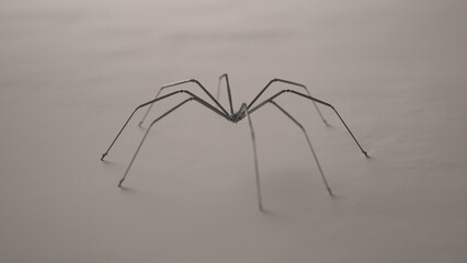 Nano Tech Spider Robot Nano Robot Mechanical Spider Robotic Legs Futuristic Spider 3d illustration