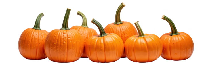 Fresh pumpkins vibrant orange autumn harvest decorative gourds seasonal produce farm fresh natural texture Halloween decor