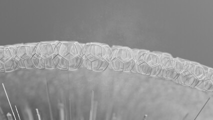Nano Tech Cell Structure Nano Cell Microscopic Cell Cell Network Hexagonal Cells 3d illustration