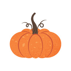 Illustration of a Ripe Orange Pumpkin