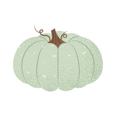 Isolated Illustration of a Pale Blue Pumpkin