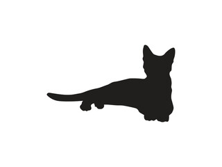 Dynamic feline silhouettes capture playful cat poses, perfect for pet-themed designs and branding.