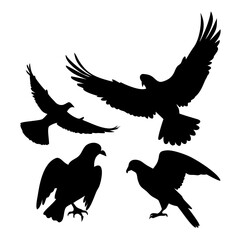 Eagles silhouettes flying, a collection of birds in flight, representing freedom, strength, and the beauty of wildlife