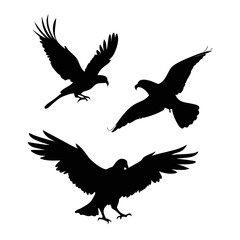 Silhouette of eagles soaring, , representing freedom and power in a simple, elegant design for creative projects