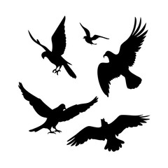 Silhouette of birds flying, , showcasing freedom and wildlife in a simple, elegant design for various creative applications