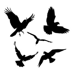 Silhouette of diverse birds in flight, , capturing the essence of freedom and nature in a simple, elegant design
