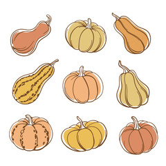 Set of hand drawn pumpkins and gourds in vector style. Autumn harvest illustration perfect for Thanksgiving, Halloween, farmers market, seasonal decoration, and organic food design