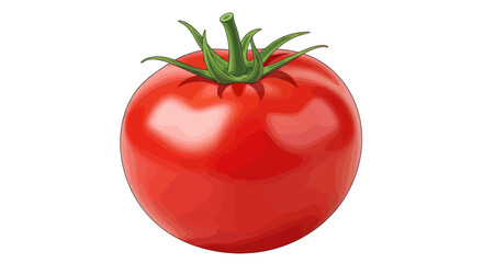 Fresh Ripe Red Tomato with Green Stem Isolated on White Background.