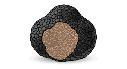 Exquisite Black Truffle Cut Open Revealing Aromatic Interior.