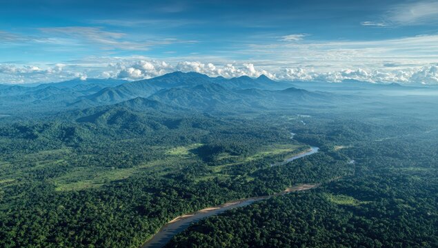 Lush rainforest valley with mountain range