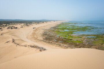 View from a high dune south of Essaouira: Sandy Atlantic shoreline stretches to the horizon, with algae-covered rocks at low tide. Three riders on horses pass below the dune under hazy skies