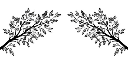 Fototapeta premium Silhouette of a Tree Branch with Leaves, Natural Organic Design Element on Isolated White Background