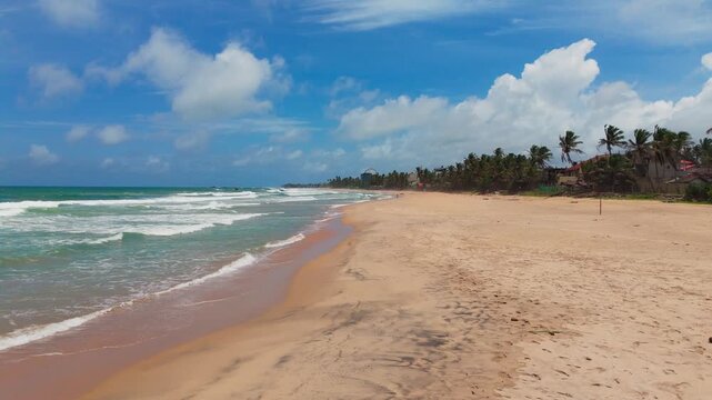 Drone Push-In of Sandy Shoreline with Coconut Trees and Waves at Noon
