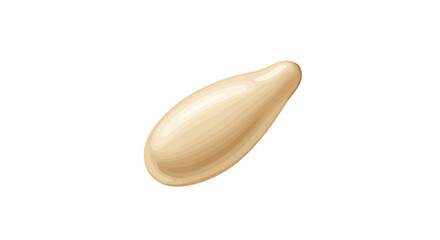 Closeup of a Single Light Beige Seed or Bean.