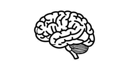 A detailed illustration of a human brain with visible folds and structures silhouette