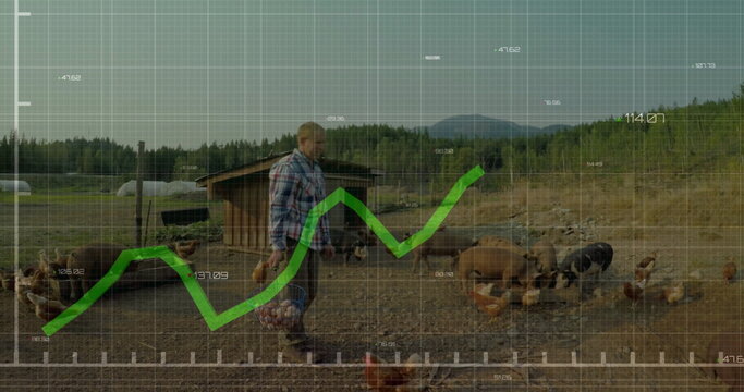 Walking farmer wearing boots carrying eggs in wire basket through chicken pen with data overlay - Powered by Adobe
