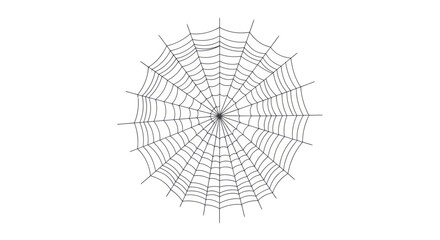 Obraz premium Detailed circular spider web isolated on a clean background.