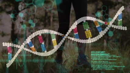Woman walking through glade while genomic helix reacting to motion and animating code for biotech - Powered by Adobe