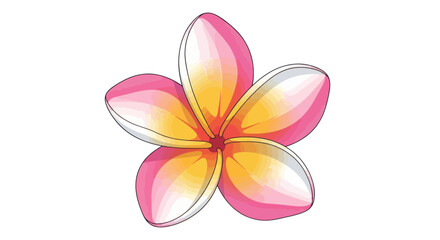 Close up of a beautiful plumeria flower.