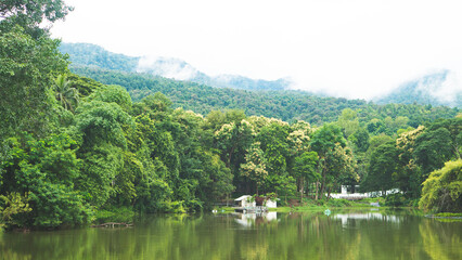 Fototapeta premium chiang mai thailand angkaew reservoir lake park green space relaxing water peace quiet