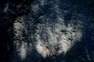 Close-up of a rough rock surface with green moss and dried leaves, showing natural texture, cracks, and earthy details.