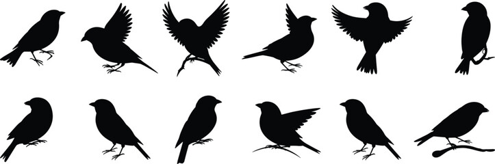 Bird silhouette collection, flying birds, perched birds, standing birds, black bird shapes, wildlife vector, avian poses, nature illustration, minimal design