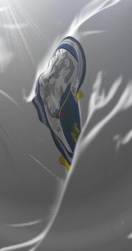 Flag of Nueva Segovia Department, Nicaragua. Loop. 4K Vertical