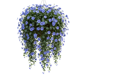 Beautiful hanging flower basket with vibrant blue blooms, ideal for outdoor garden or decorative design - Isolated White Background