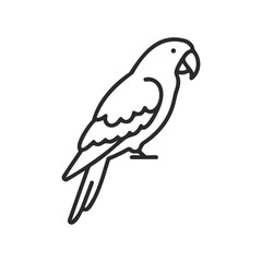 Obraz premium Simple black line drawing of a parrot in profile on white background