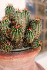 New Mexico Southwest