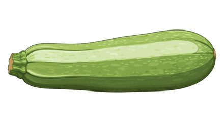 Fresh Green Zucchini Vegetable Isolated on White Background.