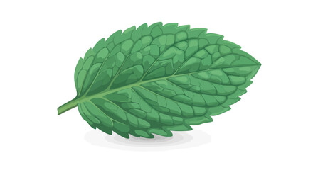 Detailed close up of a vibrant green mint leaf isolated. © Alienmarsh
