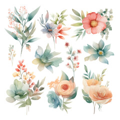 Fototapeta premium images of watercolor flowers