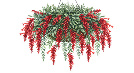 Hanging potted plant with green foliage and red flowers, perfect for garden decor and interior design - Isolated White Background