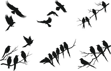 Bird silhouettes flying and perched on tree branches, wildlife nature, black and white, flock of birds, freedom, animal shapes, vector art