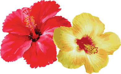 Flower surf hibiscus trendy summer cute floral tropical Hawaii maldives Lilly surfer ocean Vacay Mode Vacation Holiday t-shirt design Slogan Logo Graphic Vector clothing girly summer illustration 