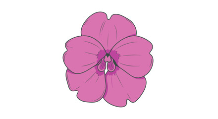 Closeup Detailed Illustration of a Single Pink Orchid Blossom.