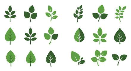 Green Leaves Collection Various Shapes And Sizes Of Foliage Elements