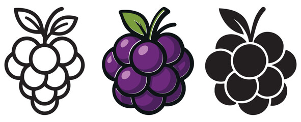 A visual comparison of grapes presented in three distinct artistic styles: a black and white outline, a vibrant colored illustration, and a solid black silhouette. © MdAshraf