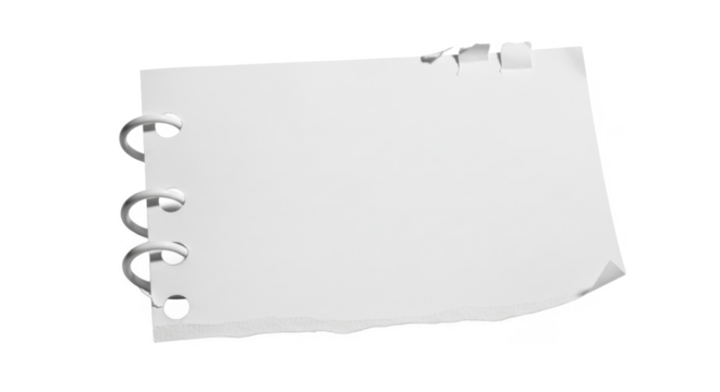 Blank sheet of paper from a spiral-bound notebook, torn at the edge, isolated on white background.