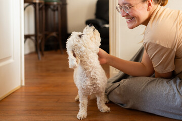 Grinning Girl Entertaining Bichon Frise at Home