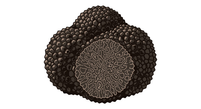 Close up view of a black truffle.